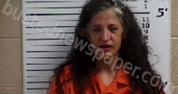 MCCOY, CHRISTINA LEIGH | 2023-07-01 02:36:00 Cherokee County, North Carolina Booking