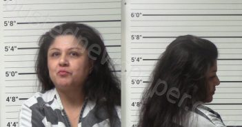 GONZALES, TRISHA LYNN | 2023-07-01 Kerr County, Texas Booking
