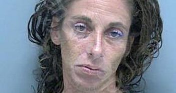 <B>GAMBINO</B>, <B>ALISA</B> <B>MARIE</B> #, Lee County, Florida - 2023-07-02 19:39:00