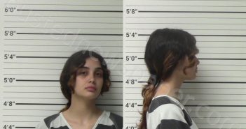 NIETO, DASIA BEATRIZ | 2023-07-02 Kerr County, Texas Booking