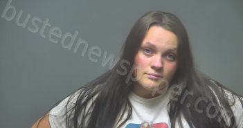 HISKEY, BRIDGETTE ANN | 2023-07-03 19:38:00 Isabella County, Michigan Booking