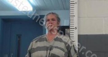 CAMELLIA ANN DILLAHUNTY | 2023-07-05 18:32:00 Randolph County, Arkansas Booking