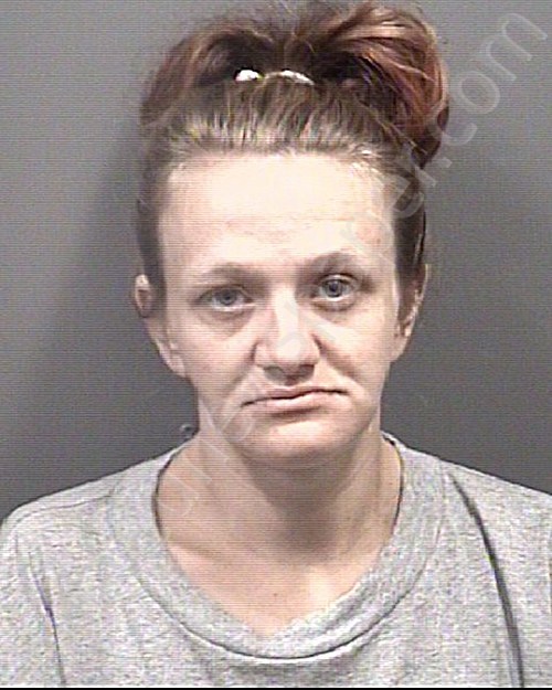 UPRIGHT, ELIZABETH MARIE #, Rowan County, North Carolina - 2023-07-05 08:15:00