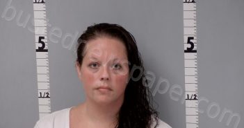 HATCH, ALLISON LYSONDRA | 2023-07-06 10:22:00 Gratiot County, Michigan Booking