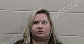 KRYSTAL DAWN NEFFERDORF | 2023-07-06 11:53:00 Andrew County, Missouri Booking