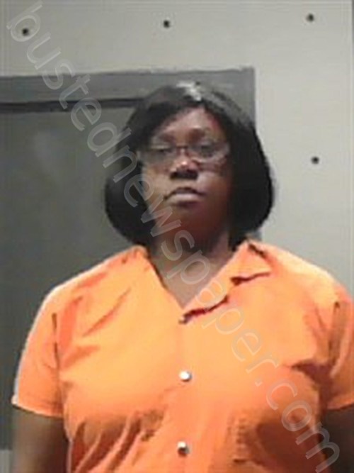 WILLIAMS, CHARLOTTE D #, Johnson County, Arkansas - 2023-07-07 07:18:00