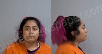 GONZALEZ, ALEJANDRA MAITE | 2023-07-08 Hidalgo County, Texas Booking