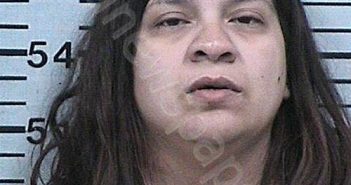 BEDOLLA-VEGA, NELLY JOSEFINA | 2023-07-10 23:52:08 Hood County, Texas Booking
