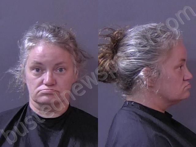 ANDREWS, MELISSA DIANA #, Hamilton County, Indiana - 2023-07-11 11:15:00