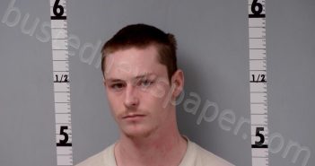 MCGUIRE, LUCAS JAMES | 2023-07-11 04:42:00 Gratiot County, Michigan Booking