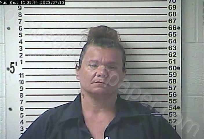 FELTNER, JAMIE SUE #, Hardin County, Kentucky - 2023-07-13 15:58:00