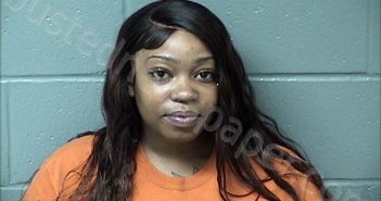 SCHULTZ, BOITUMELO NICOLE | 2023-07-14 Woodford County, Illinois Booking