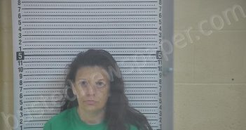 QUINN, AMISTA J. | 2023-07-15 00:42:00 Taylor County, Kentucky Booking