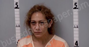 GARCIA, TERESA MARIA | 2023-07-16 04:53:00 Gratiot County, Michigan Booking