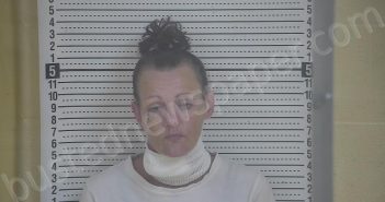 JOHNSON, ANGELA L | 2023-07-16 16:51:00 Taylor County, Kentucky Booking