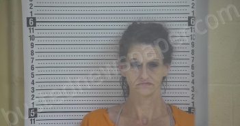 DOTSON, CAROL LYNN | 2023-07-17 19:51:00 Taylor County, Kentucky Booking