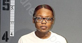 JOHNSON, CRYSTAL SHANA | 2023-07-18 13:47:00 Western Tidewater, Virginia Booking