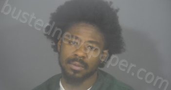 <B>MORGAN</B>, ERION <B>DOMINIQUE</B> ALEXANDER #, St. Joseph County, Indiana - 2023-07-18 01:27:00