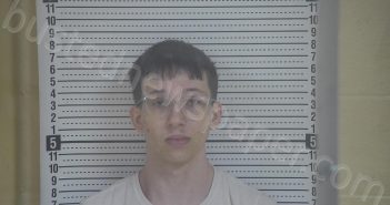 SHEPHERD, ASHER MICHAEL | 2023-07-19 13:13:00 Taylor County, Kentucky Booking