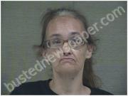 FALLIN, MARY | 2023-07-20 Harnett County, North Carolina Booking
