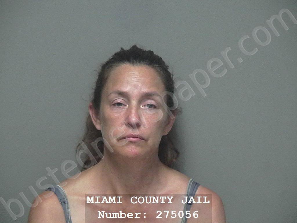 BURROS, DISHONDA #, Miami County, Ohio - 2023-07-20 10:12:00