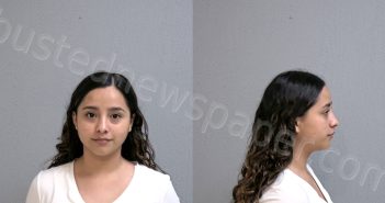 <B>SANCHEZ</B>, <B>SANDRA</B> <B>ITZEL</B> #, Hidalgo County, Texas - 2023-07-20