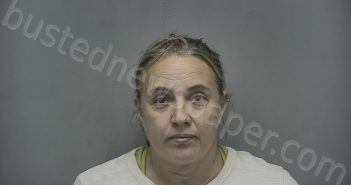 CLEMENTS, DARCIE R | 2023-07-20 00:22:09 Vigo County, Indiana Booking