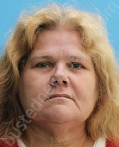 FLORES, SHARON ANN #, Desoto County, Florida - 2023-07-21 13:34:00