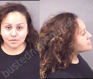 GONZALEZ, JOSELINE P | 2023-07-23 02:13:00 Kankakee County, Illinois Booking