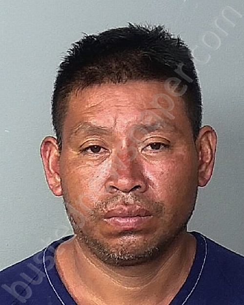 LOPEZ-PEREZ, SARAEL #, Manatee County, Florida - 2023-07-24