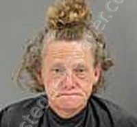 <B>BROCK</B>, <B>CELENA</B> <B>JANEL</B> #, Anderson County, South Carolina - 2023-07-24