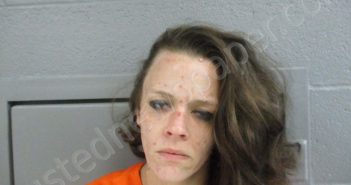 COLLINS, GABRIELLE ANN | 2023-07-25 18:40:00 Taylor County, West Virginia Booking