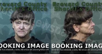 TIPPS, LOUISE FRANCES | 2023-07-25 13:02:00 Brevard County, Florida Booking