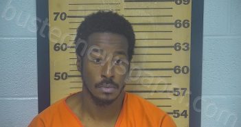 GLOVER, DESMOND DENZELL | 2023-07-25 01:03:00 Ottawa County, Ohio Booking