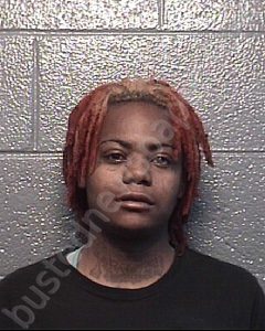 STALLINGS, TAYLOR LASHAE | 2023-07-27 Danville PD, Virginia Booking