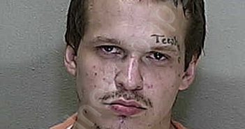 <B>SCHALLER</B>, <B>JAMES</B> <B>EDWARD</B> #, Marion County, Florida - 2023-07-29 14:48:00
