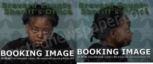 GOWINS, TADREANNA LASHANDA | 2023-07-29 11:58:00 Brevard County, Florida Booking