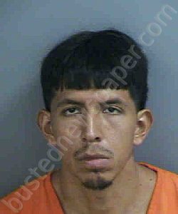 TORRES,SALVADOR IVAN | 2023-07-31 Collier County, Florida Booking