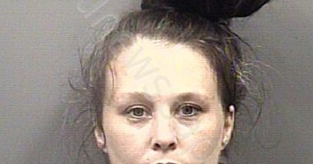 WEAVER, ASHLEY JO | 2023-08-02 11:30:00 Rowan County, North Carolina Booking