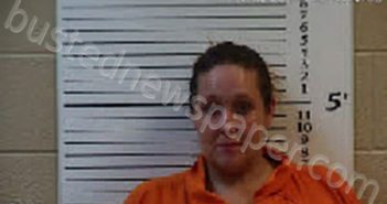 WALKER, KELLY DENISE | 2023-08-02 11:28:00 Cherokee County, North Carolina Booking