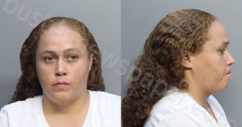 PALENZUELA, MELISSA | 2023-08-02 12:36:00 Miami-Dade County, Florida Booking