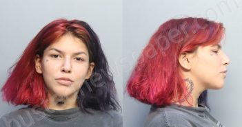 RAMOS, KAITLYN ANTOINETTE | 2023-08-02 12:58:00 Miami-Dade County, Florida Booking