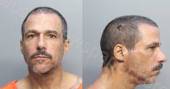 TOUBES, LUIS ARIEL | 2023-08-03 00:31:00 Miami-Dade County, Florida Booking