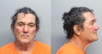 TORRES, IRENALDO | 2023-08-03 04:01:00 Miami-Dade County, Florida Booking
