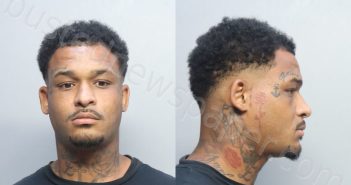 DORSEY, EVAN ROBERT | 2023-08-03 00:22:00 Miami-Dade County, Florida Booking