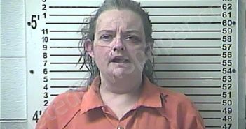 ROGERS, AMANDA RENEE | 2023-08-04 21:53:00 Hardin County, Kentucky Booking