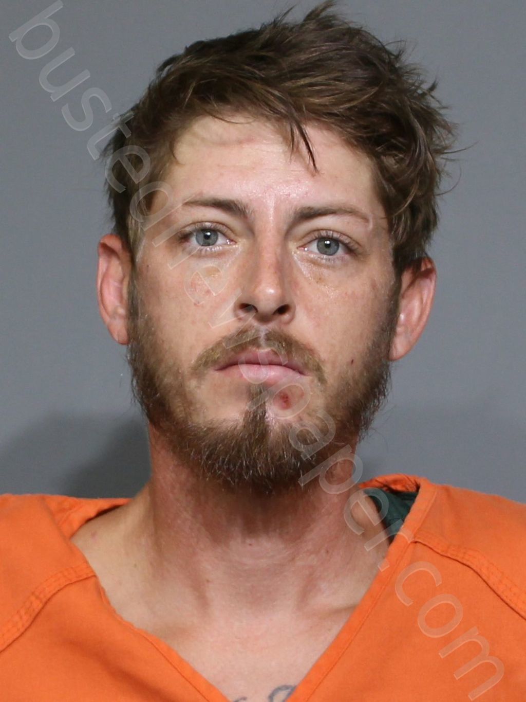 JOHNSON, LARRY ANTHONY #, York County, South Carolina - 2023-08-04 03:56:02