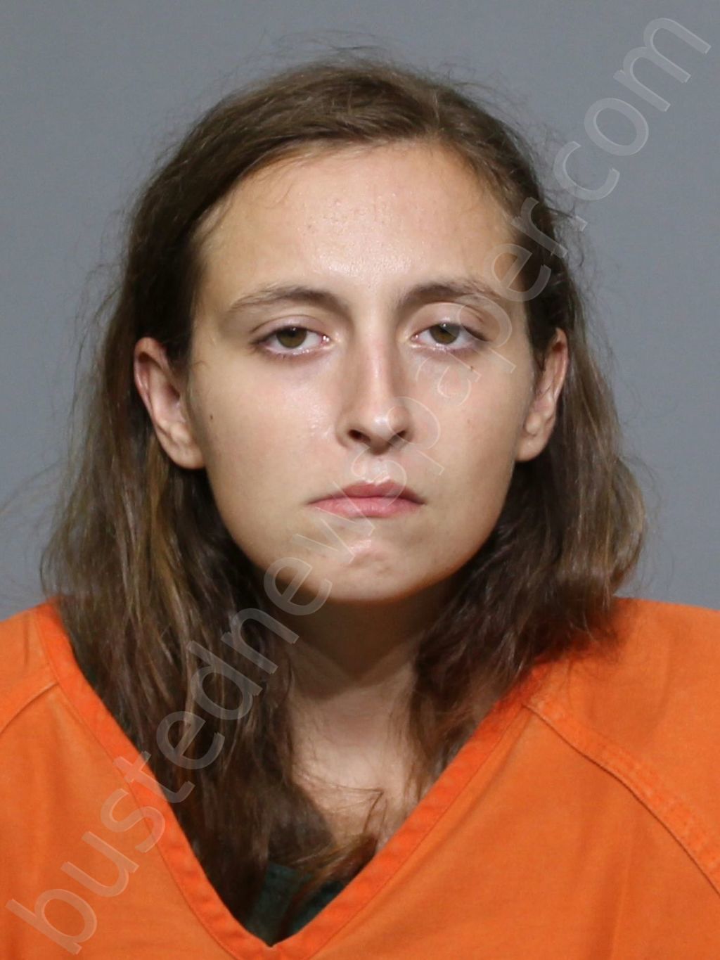 WILLIAMS, ELIZABETH MICHELE #, York County, South Carolina - 2023-08-04 02:36:47