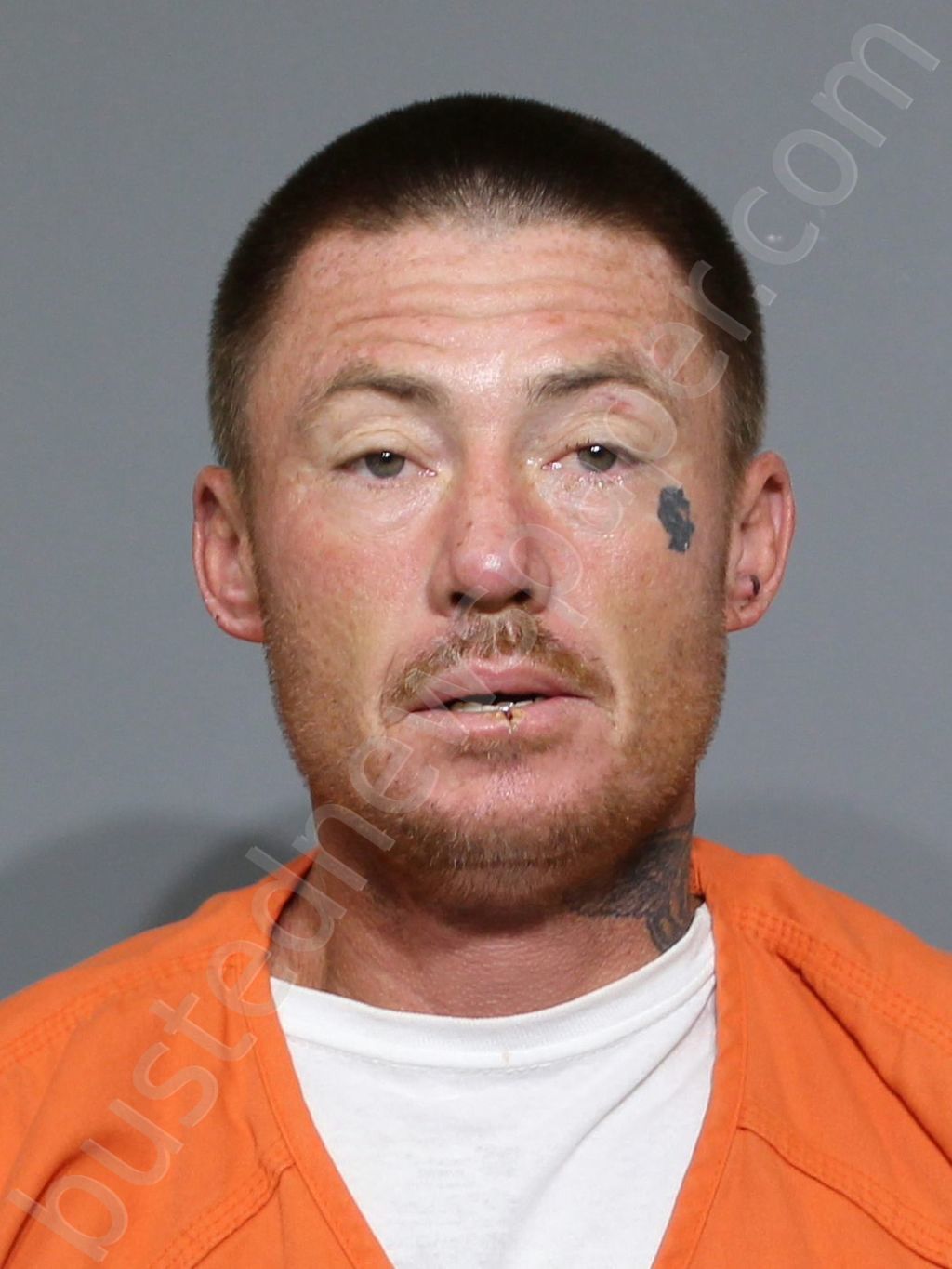 THOMPSON, SCOTTY ALEXANDER #, York County, South Carolina - 2023-08-04 06:43:38