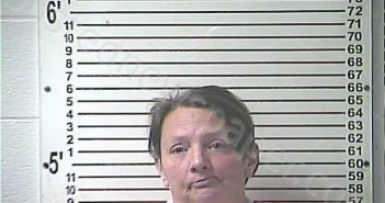 GIBSON, SONYA RENEE | 2023-08-04 19:24:00 Hardin County, Kentucky Booking